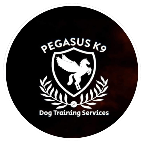 Pegasusk9 Dog Training Services